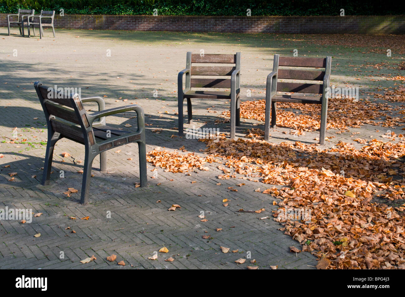Chaises en bois dans un parc en automne Banque D'Images
