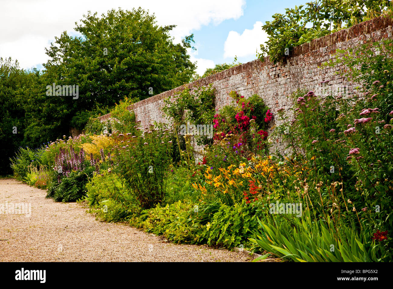 Plantes vivaces de l'été des fleurs dans un jardin de campagne anglaise fortifiée dans le Berkshire, Angleterre, RU Banque D'Images