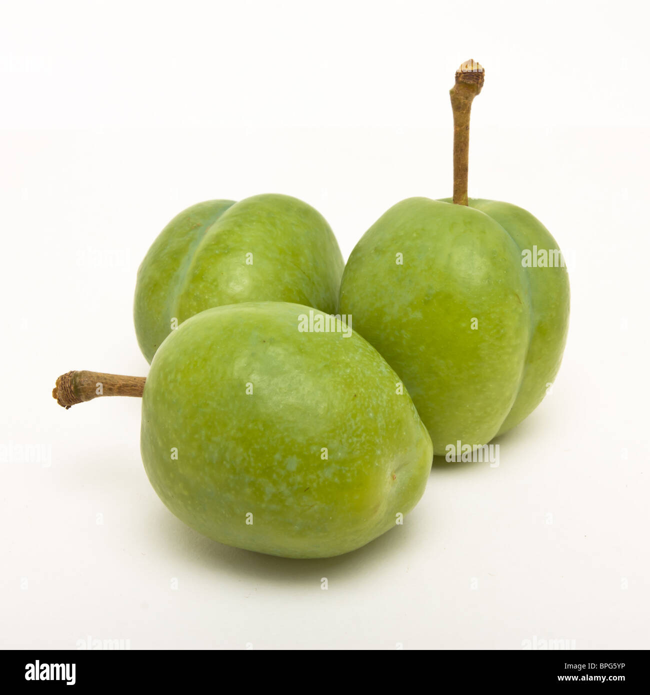 Green Plum de perspective basse isolés contre blanc. Banque D'Images