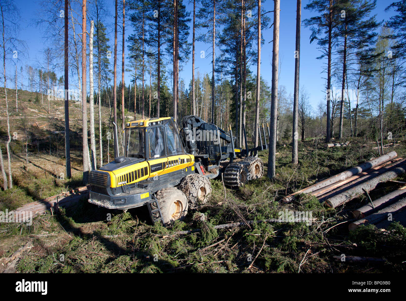 Le Ponsse Buffalo véhicule forestier transitaire à la coupe à la zone , Finlande Banque D'Images