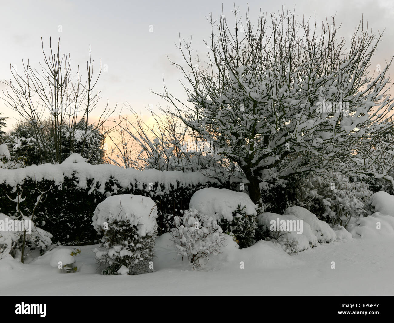 Surrey Angleterre d'épaisseur de neige en jardin au coucher du soleil Photo  Stock - Alamy