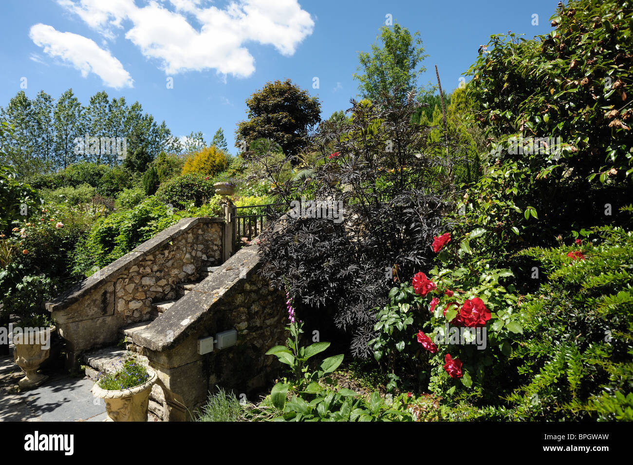 Jardin avec des arbustes, des marches en pierre, arbres et plantes à fleurs roses rouges sur une belle journée d'été Banque D'Images