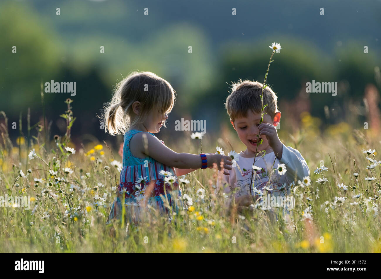 Les jeunes enfants jouant dans hay meadow Norfolk Juin Banque D'Images