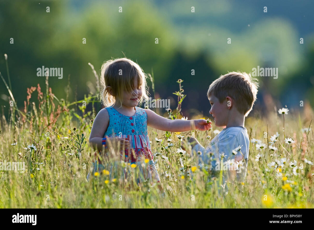 Enfants jouant dans hay meadow Norfolk UK peut Banque D'Images
