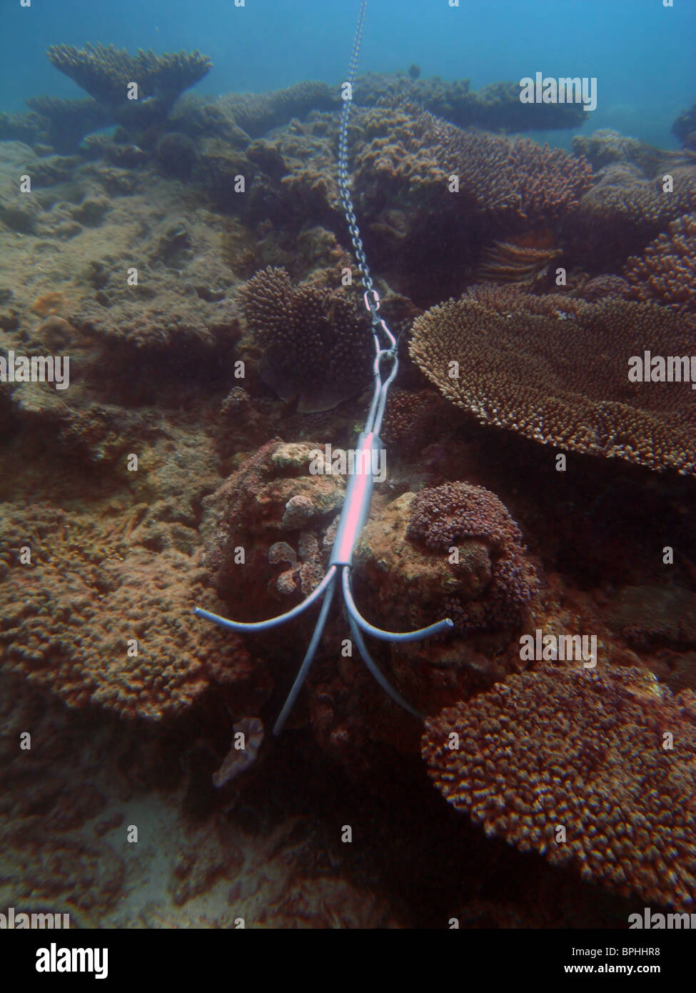 Ancre de bateau et de la chaîne d'endommager les récifs coralliens côtiers, Great Barrier Reef Marine Park, Queensland, Australie Banque D'Images