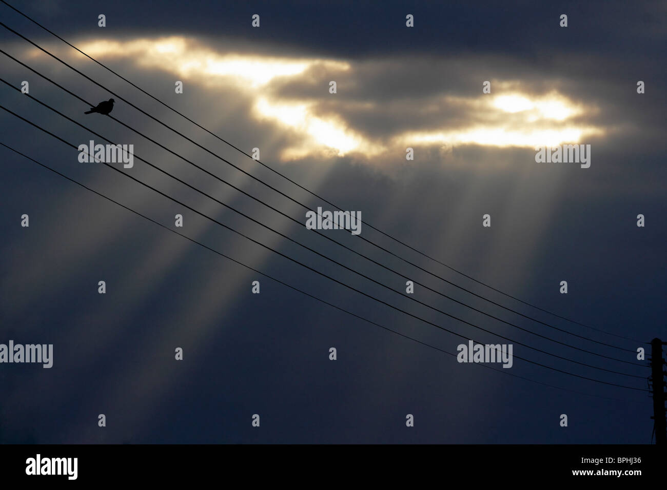 Ciel du soir, Radley, avec pigeon sur poteau télégraphique Banque D'Images