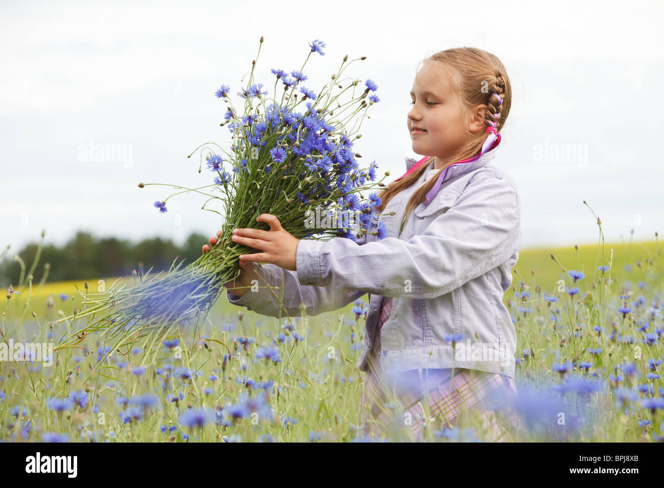 Little girl picking dans un champ de fleurs bleues Banque D'Images