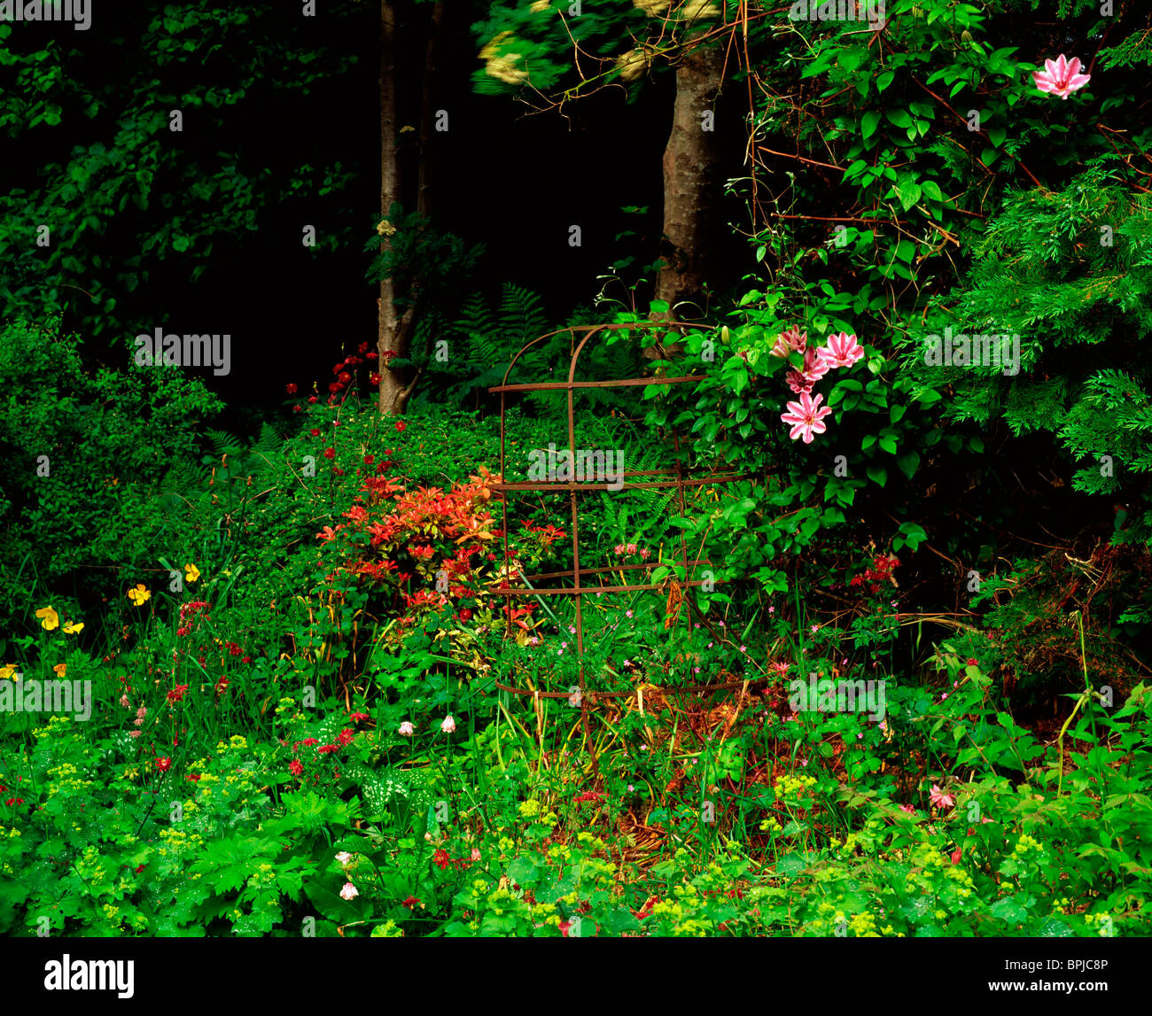 Little Heath Stock Photos Little Heath Stock Images Alamy