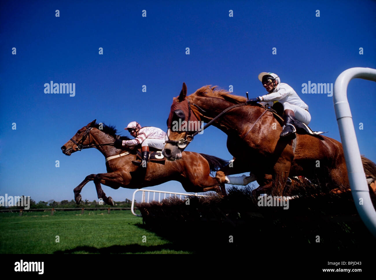 L'Irlande, les courses de chevaux Banque D'Images