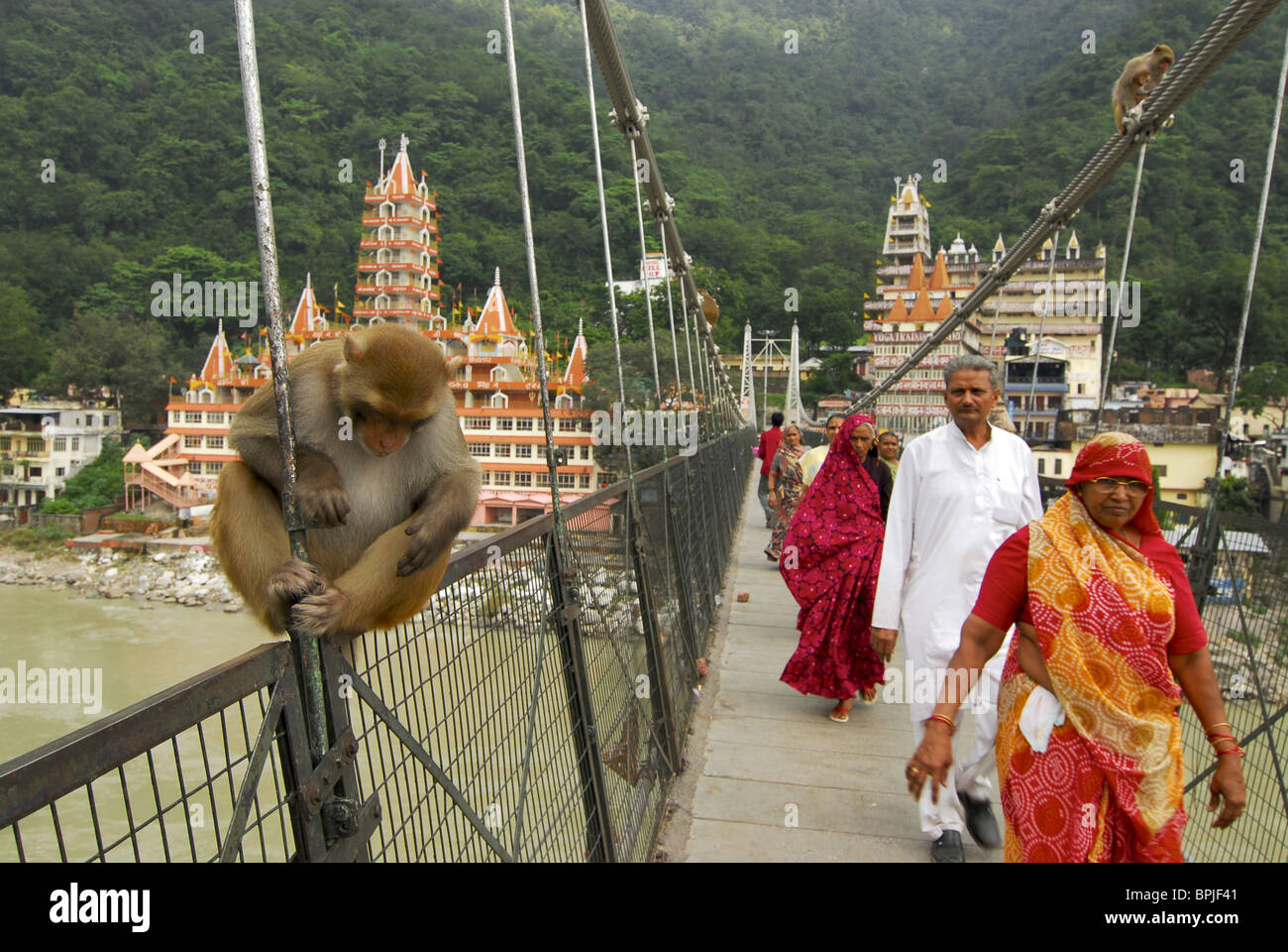 Singe et pèlerins sur le pont suspendu au-dessus de la rivière Gange à Rishikesh avec ashram, Uttarakhand, Inde, Asie Banque D'Images