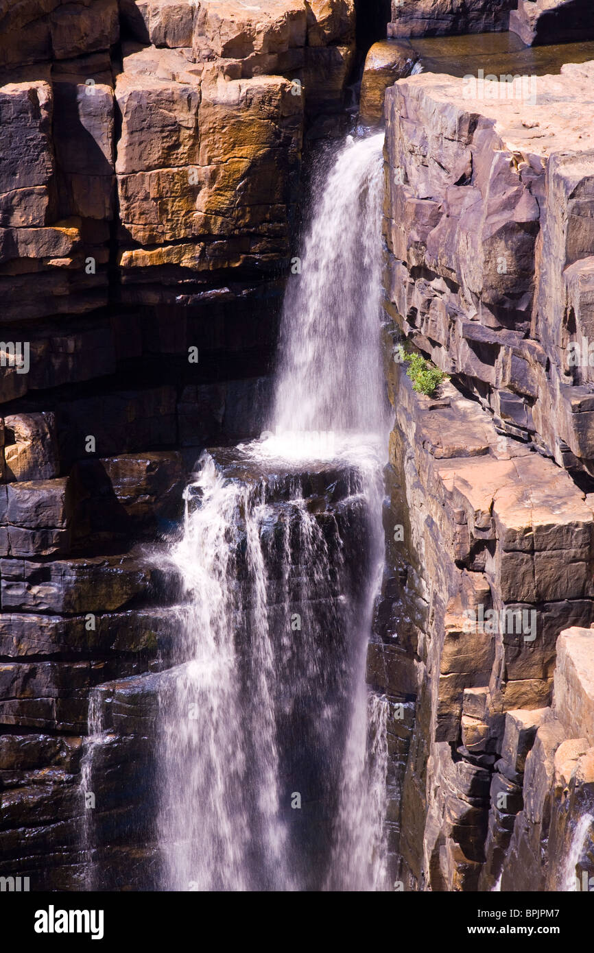 Le roi George Les chutes sont la région de Kimberley, goutte à goutte la plus haute des chutes d'Australie Occidentale Banque D'Images