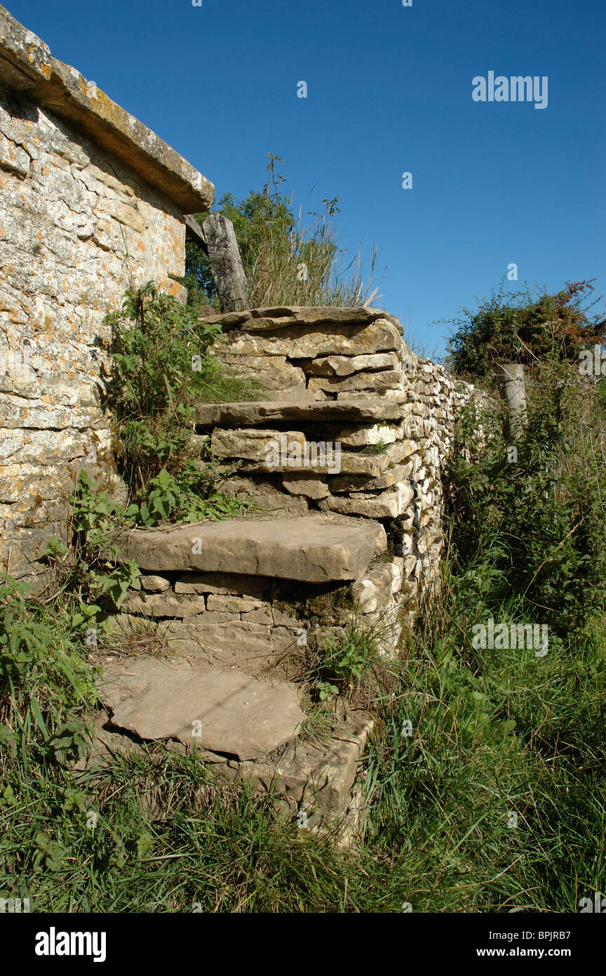 Les escaliers en pierre de Cotswold Banque D'Images
