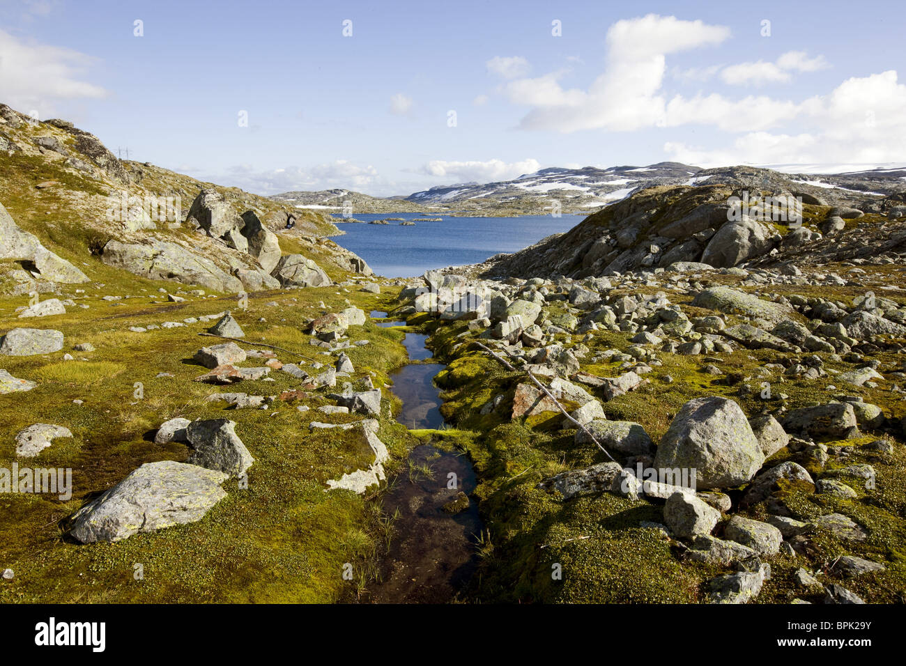 Paysage aride et un lac sur le Rallarvegen, parc national de Hardangervidda, Hordaland, au sud de la Norvège, Scandinavie, Europe Banque D'Images