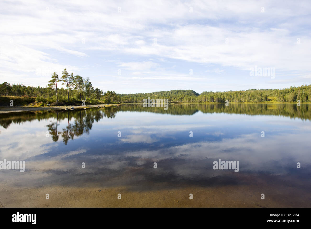 Réflexions des nuages sur un lac à la fin de l'été, Nord-trondelag, Norway, Scandinavia, Europe Banque D'Images