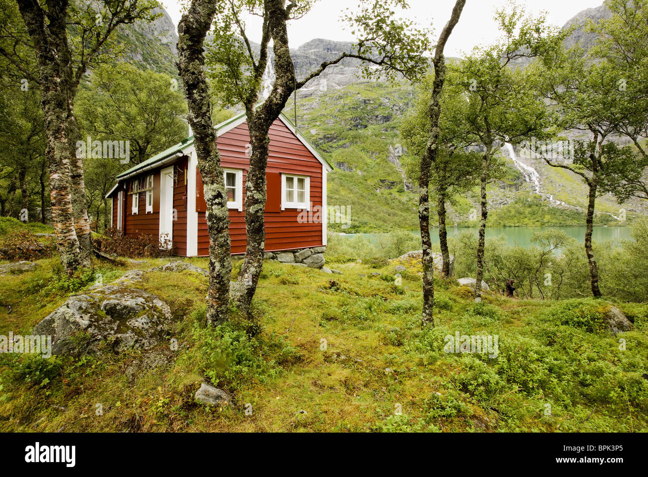 Maison en bois rouge dans une forêt de bouleaux au lac Fynderdalsvatnet, péninsule de Folgefonn, Kvinnherad, Hordaland, Norvège, Scandinavi Banque D'Images