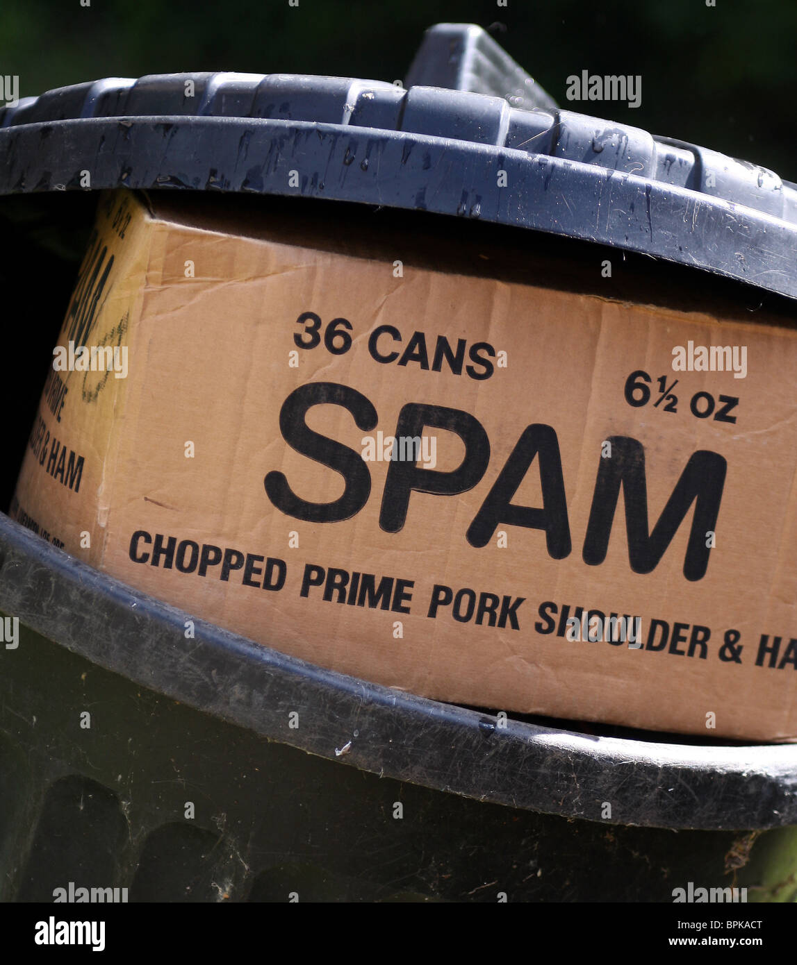 Pain de viande Spam fort dans une poubelle Banque D'Images
