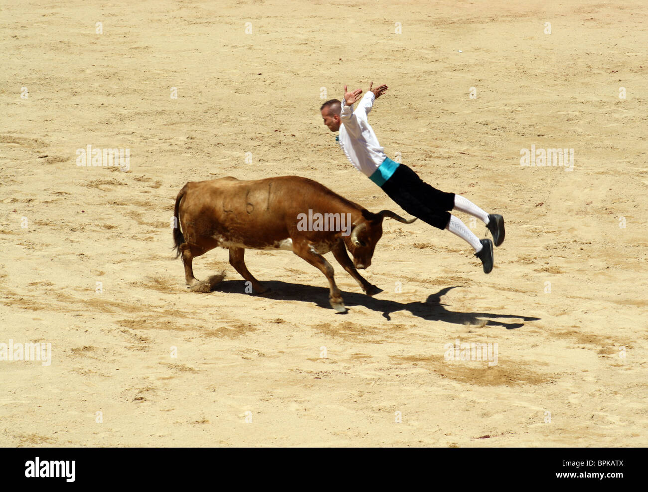 Recoupeuses' contest (pour aller sur les taureaux) dans les arènes de Pampelune, Navarre, Espagne. Banque D'Images