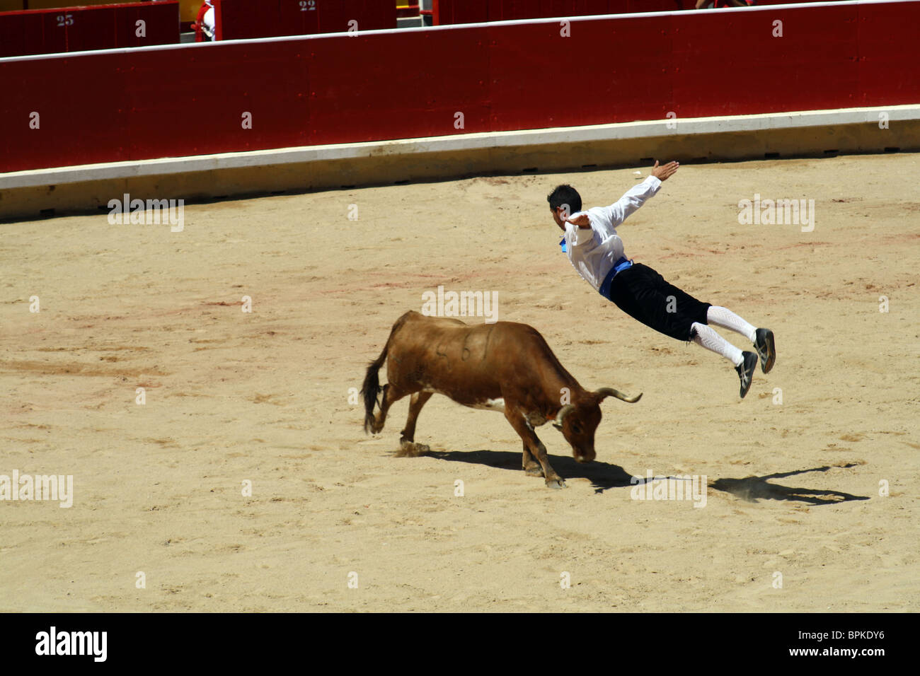 Recoupeuses' contest (pour aller sur les taureaux) dans les arènes de Pampelune, Navarre, Espagne. Banque D'Images