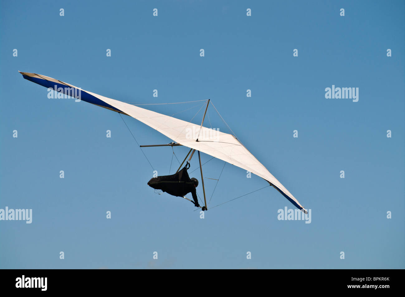 Planeur faisant un tour gracieux, South Downs Banque D'Images