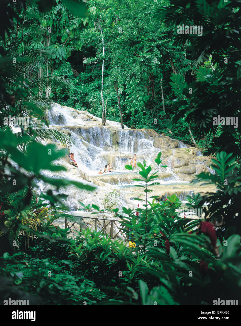 Dunn's River Falls, Jamaïque, Caraïbes Banque D'Images