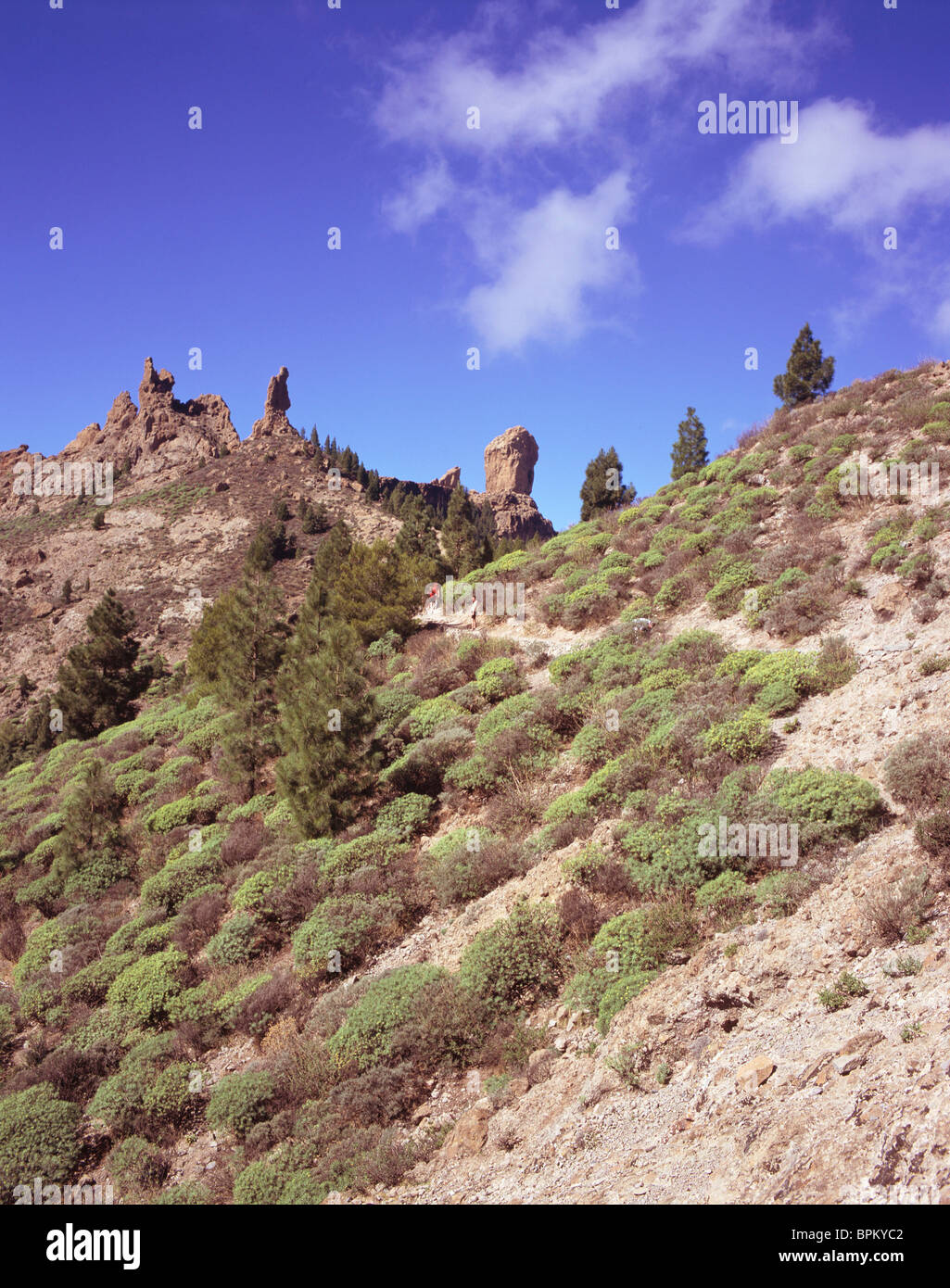 Roque Nublo, Gran Canaria, Îles Canaries Banque D'Images