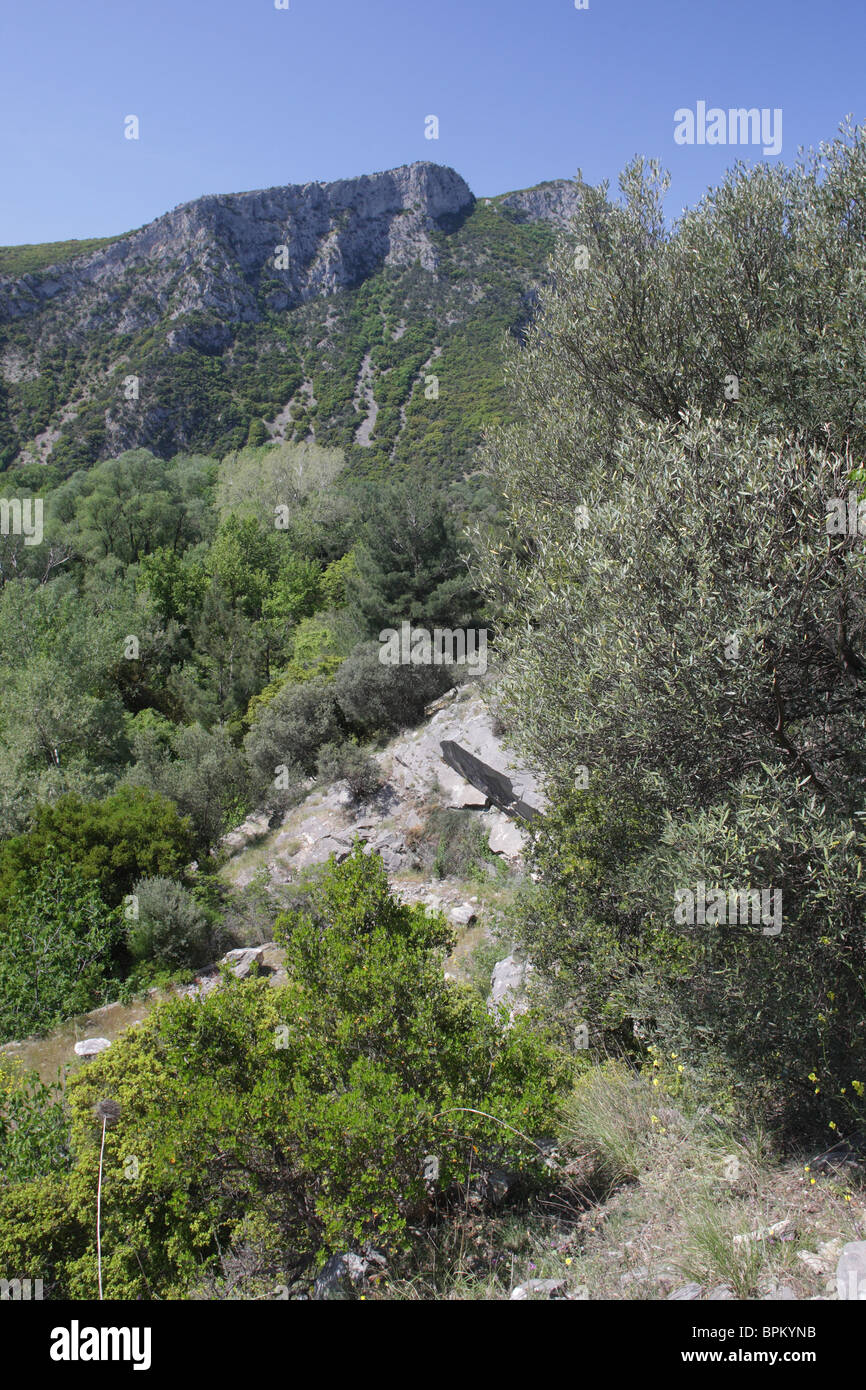 Rivière Nestos, zone protégée "eanders de rivière Nestos', Grèce du Nord Banque D'Images