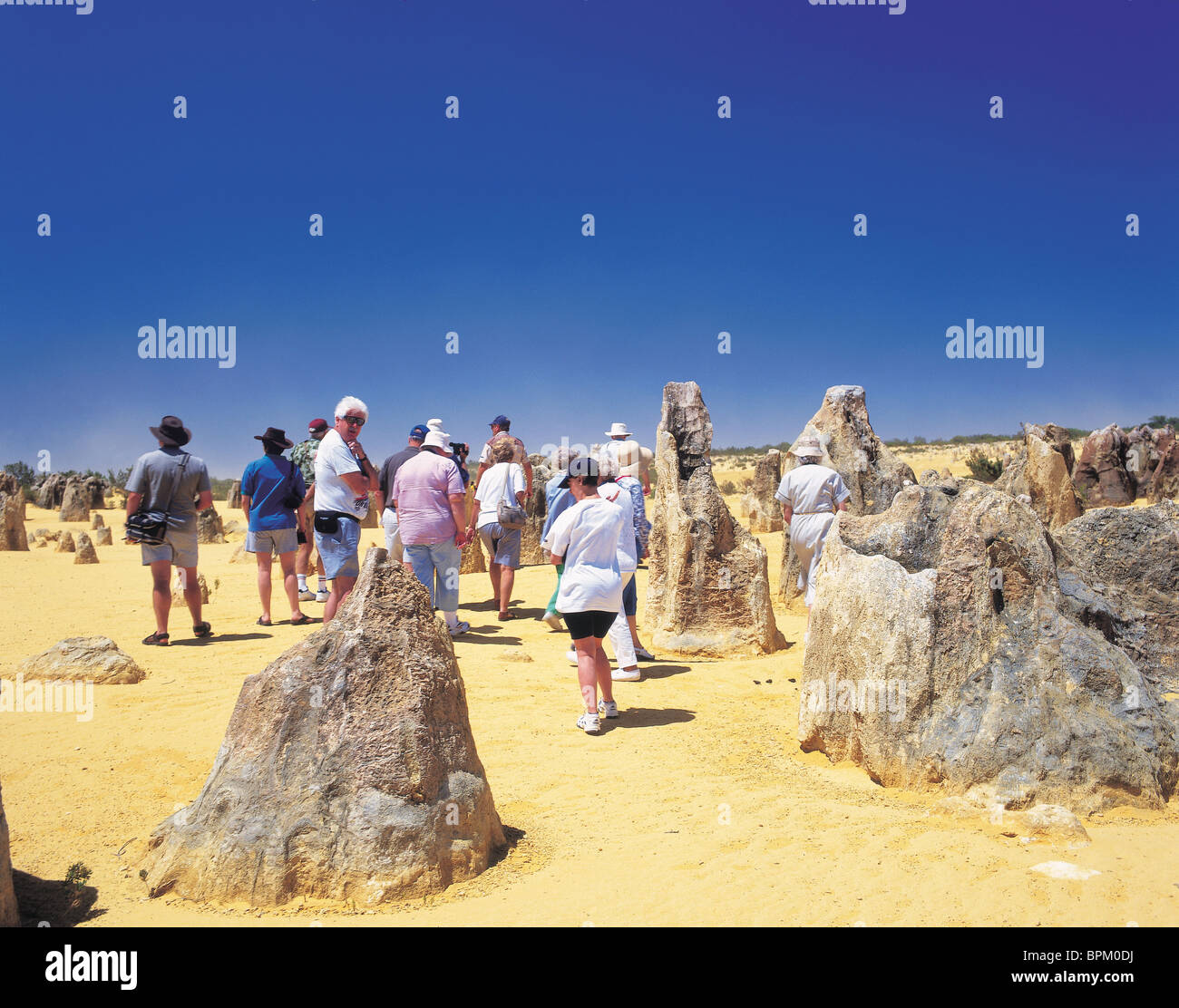 Les Pinnacles, Australie L'Australie, W. Banque D'Images