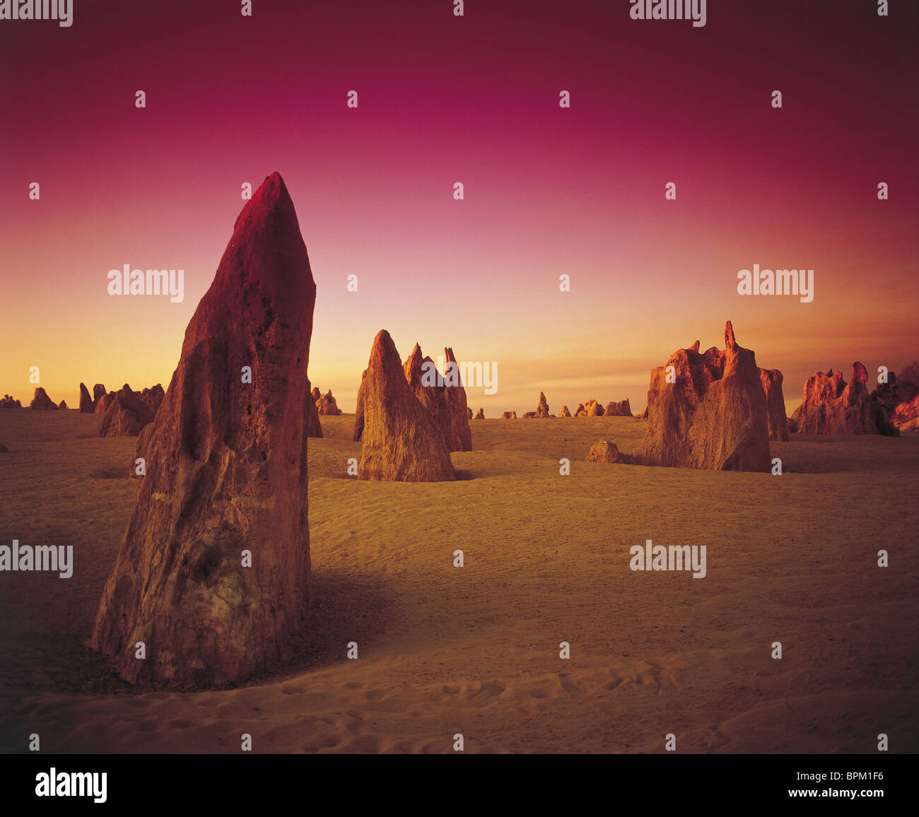 Les Pinnacles, Australie L'Australie, W. Banque D'Images