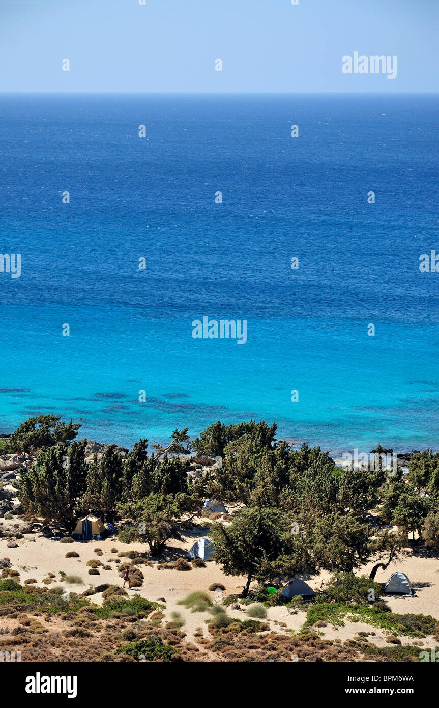 Forêt de Cèdres, d'Elafonisi, préfecture de Chania, Crète, Grèce Banque D'Images