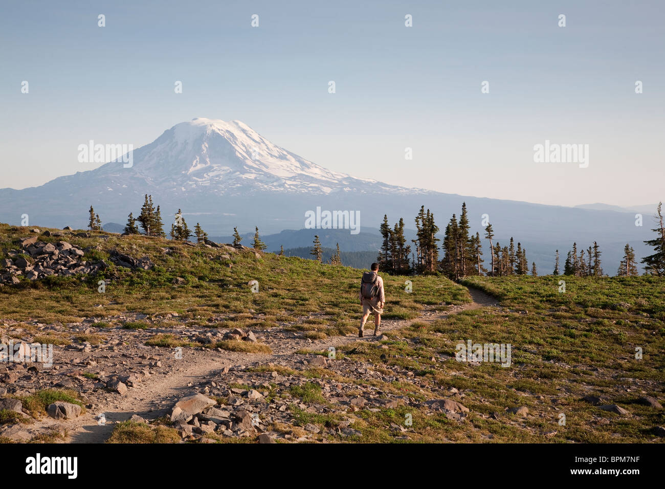 Pacific Crest Trail en direction sud vers le Mont Adams dans la chèvre sauvage des Rochers, Gifford Pinchot National Forest - Washington Banque D'Images