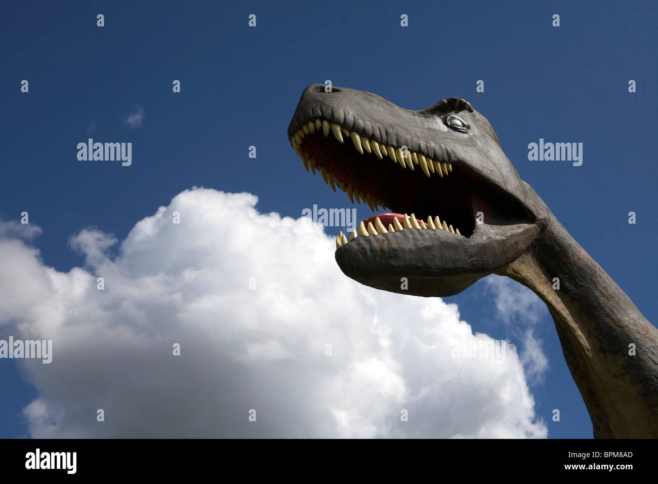 D'un modèle grandeur nature Albertasaurus en face de la Dinosaur Country Store, près de Brooks, en Alberta. Banque D'Images