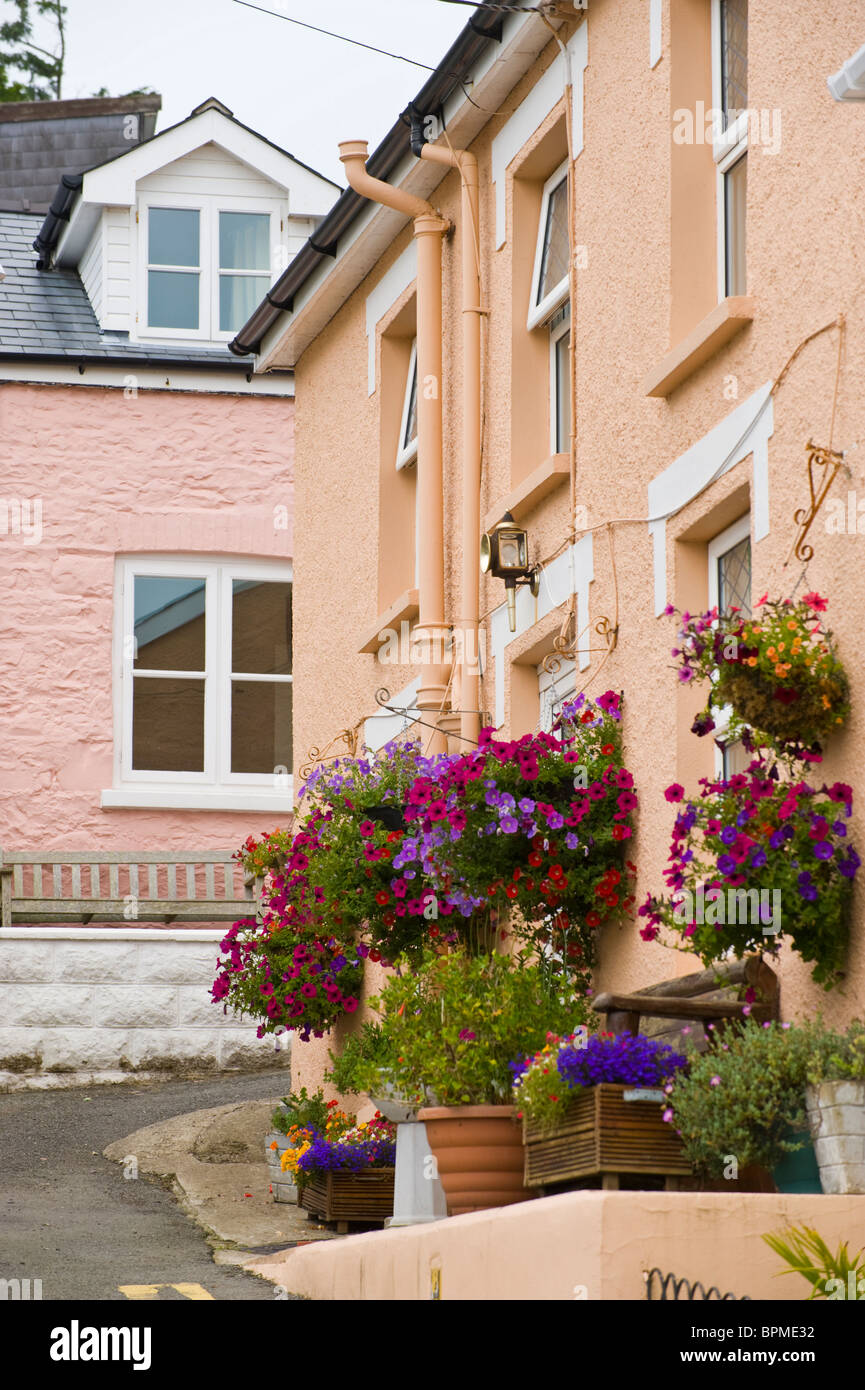 Paniers de fleurs suspendus à l'extérieur assez traditionnels dans la station de villégiature de New Quay West Wales Royaume-uni Ceredigion Banque D'Images