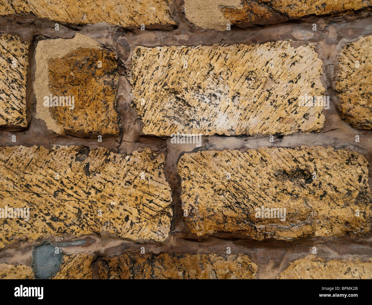 Close up d'un mur à l'extérieur de la cathédrale de Lincoln, Lincolnshire UK Banque D'Images