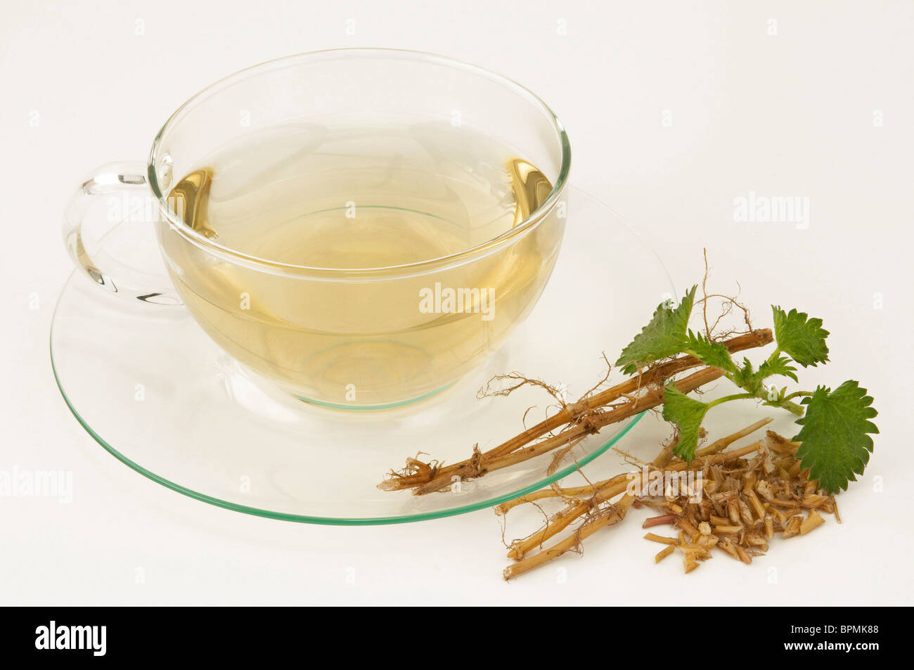 L'ortie (Urtica dioica). Une tasse d'infusion, feuilles et racines coupées, studio photo sur un fond blanc. Banque D'Images
