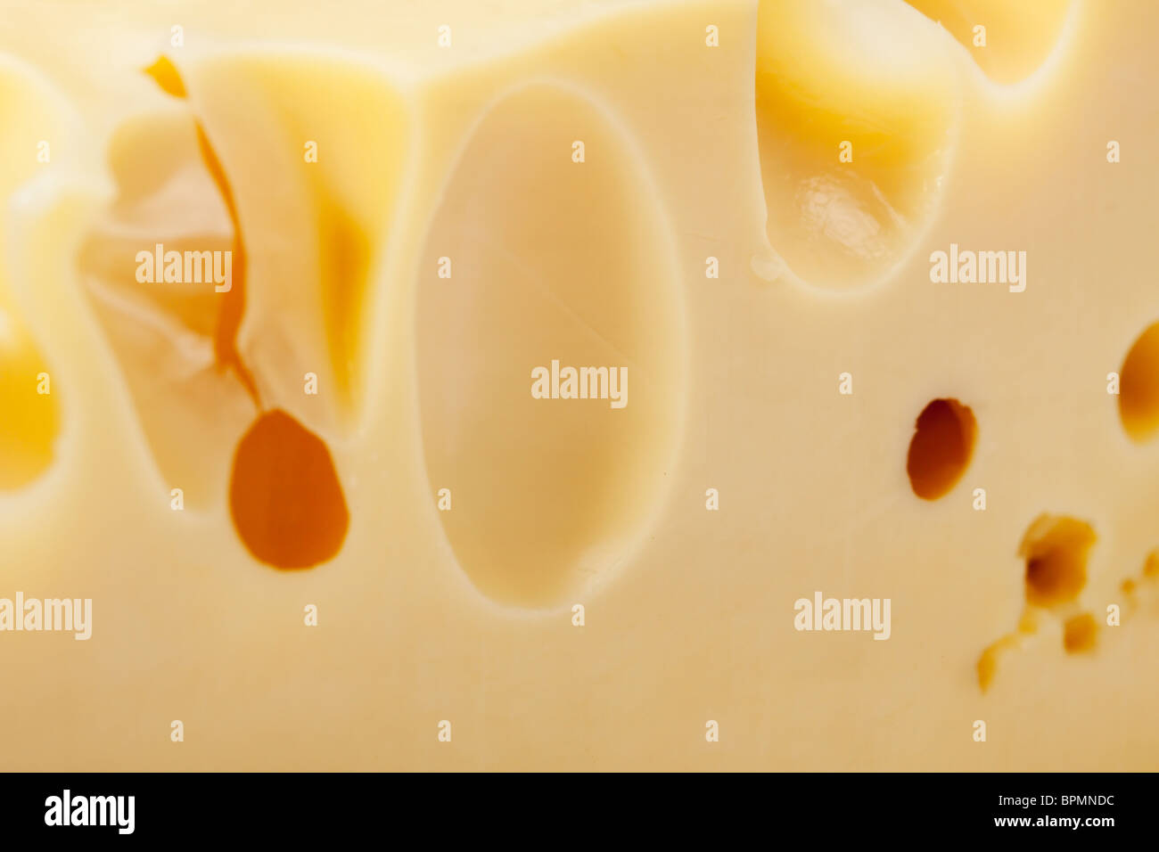 Contexte de fromages de Radamer Banque D'Images