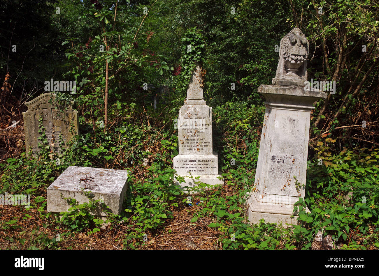 Abney Park Cemetery, Londres, Stoke Newington Banque D'Images