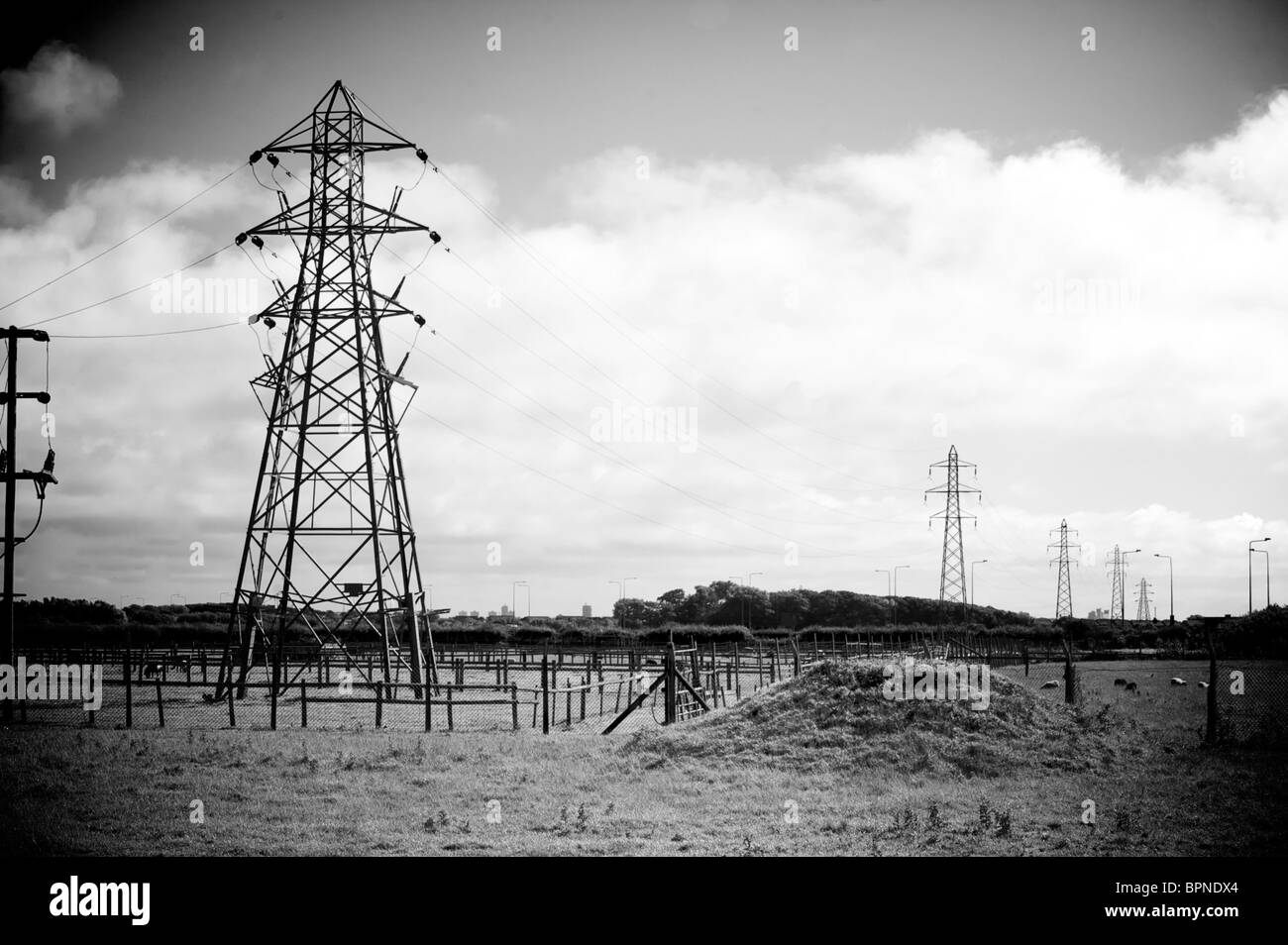 Pylônes électriques traversant télévision milieu rural Banque D'Images