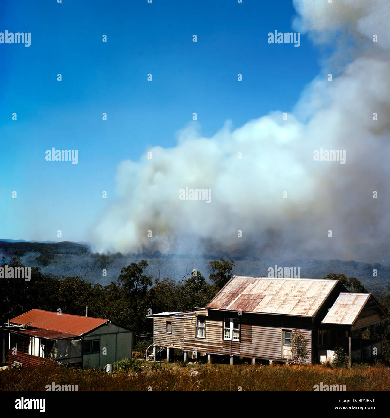 Approche d'une brousse maison dans la côte de la Nouvelle Galles du Sud en Australie Banque D'Images