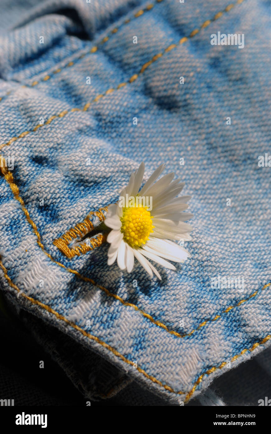 Petite fleur jaune dans le trou du bouton daisy du manchon en denim délavé oof brassard shirt de fil d'or détail. La vie encore. Banque D'Images
