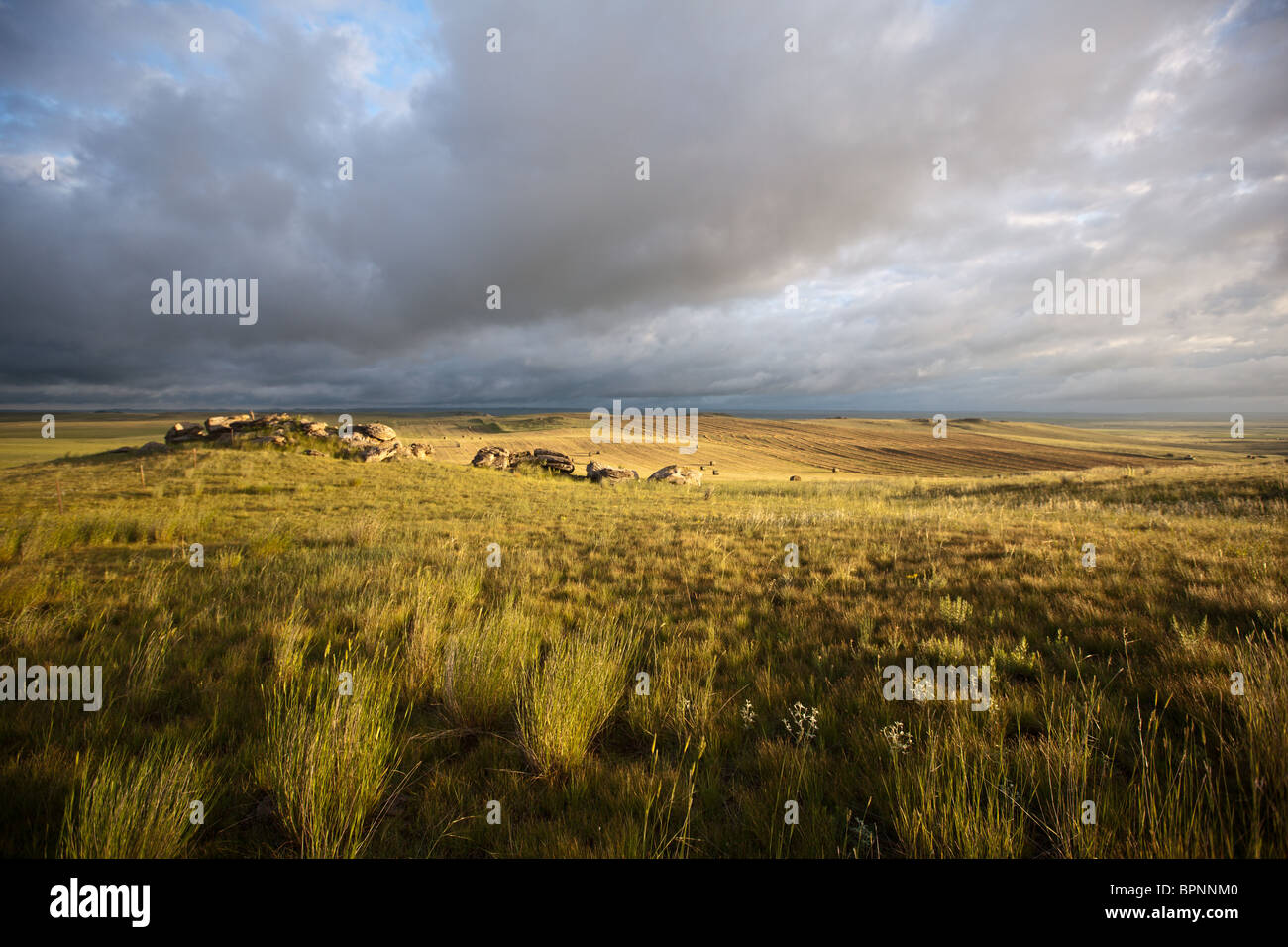 Soleil du soir sur le matériel roulant golden prairie avec ciel dramatique Banque D'Images