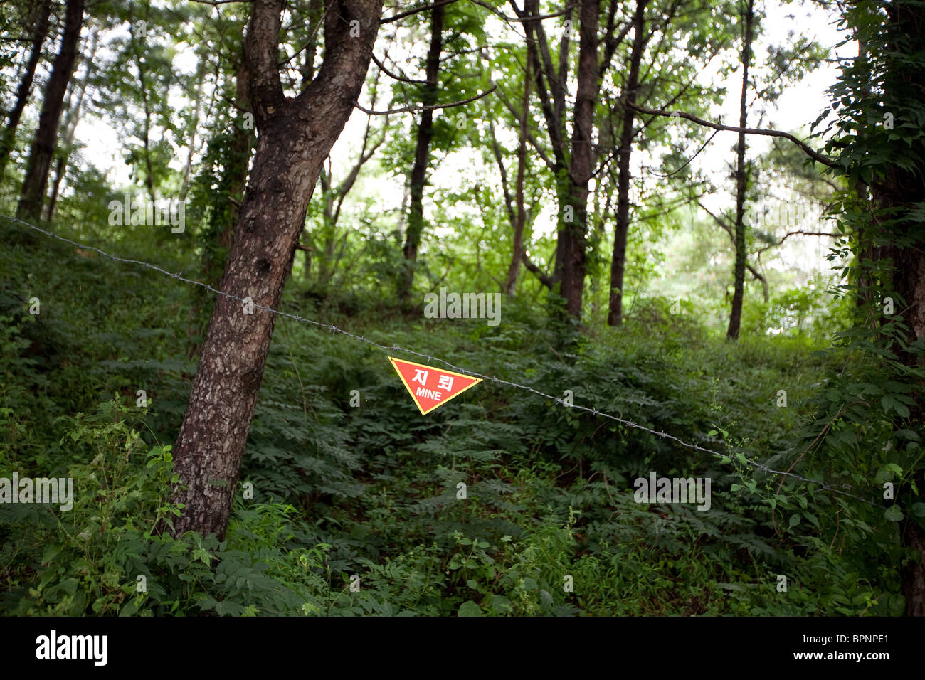 Avertissement signe de la présence de mines terrestres, sur le côté sud de la zone démilitarisée (DMZ) entre la Corée du Sud et du Nord. Banque D'Images