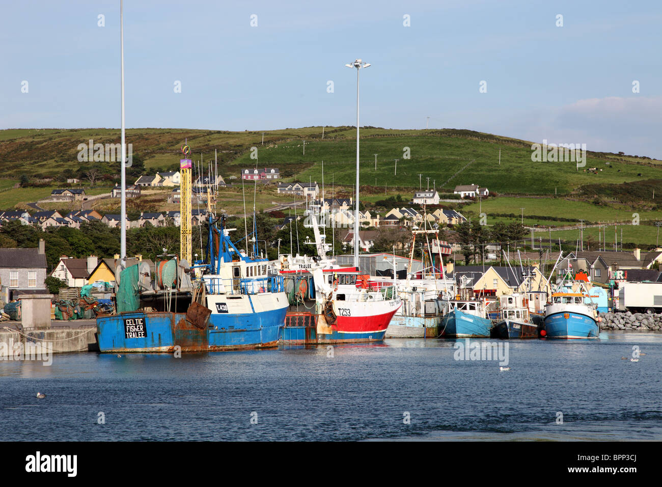 Des bateaux de pêche, le port de Dingle Comté de Kerry Banque D'Images