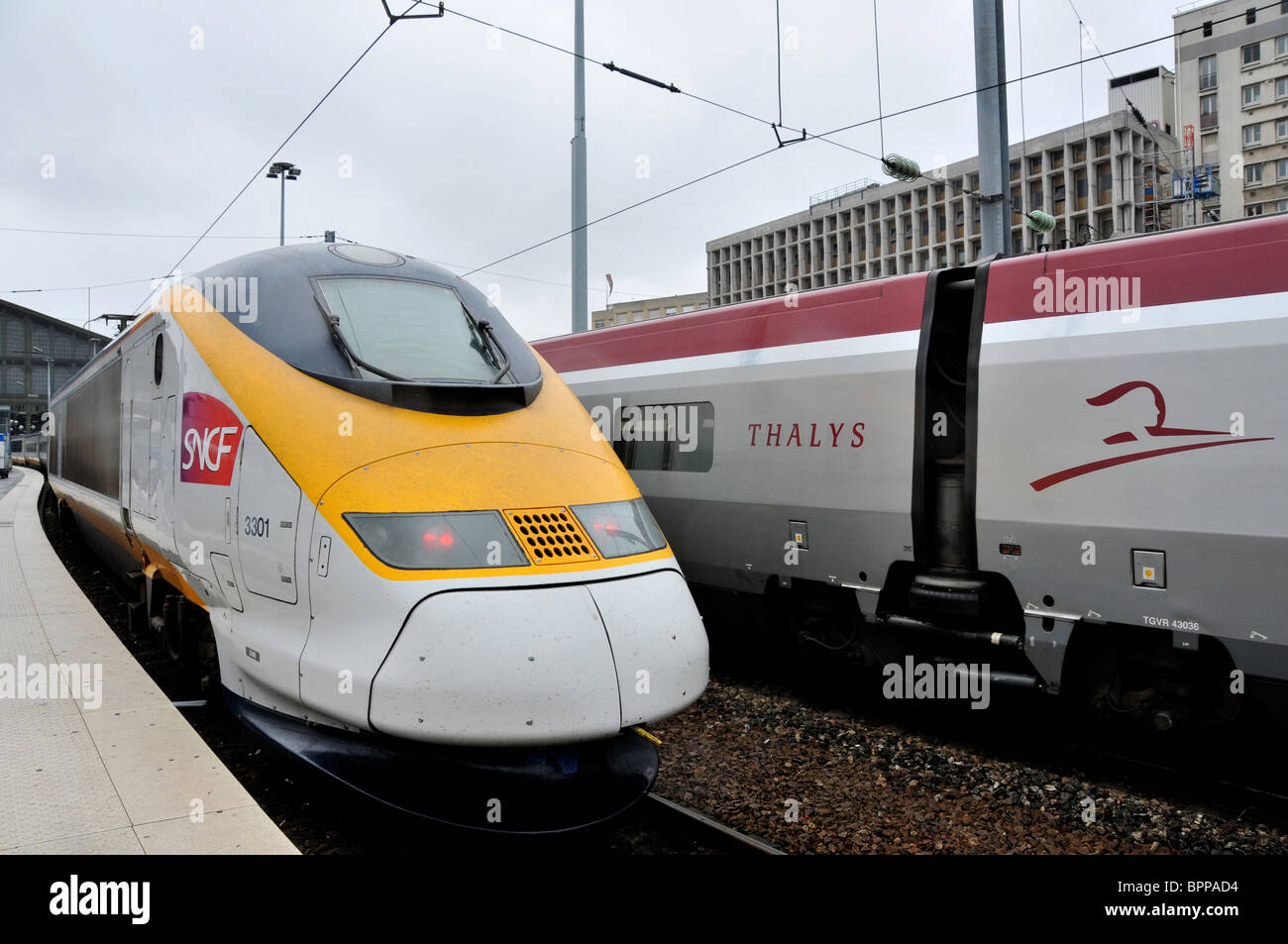 Les trains Eurostar et Thalys en gare du Nord Paris France Banque D'Images