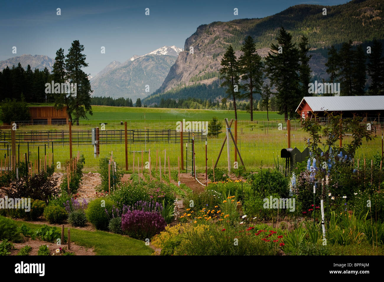 Un pays magnifique jardin situé dans la vallée de l'est de Methow l'État de Washington. C'est l'entrée de la North Cascades. Banque D'Images