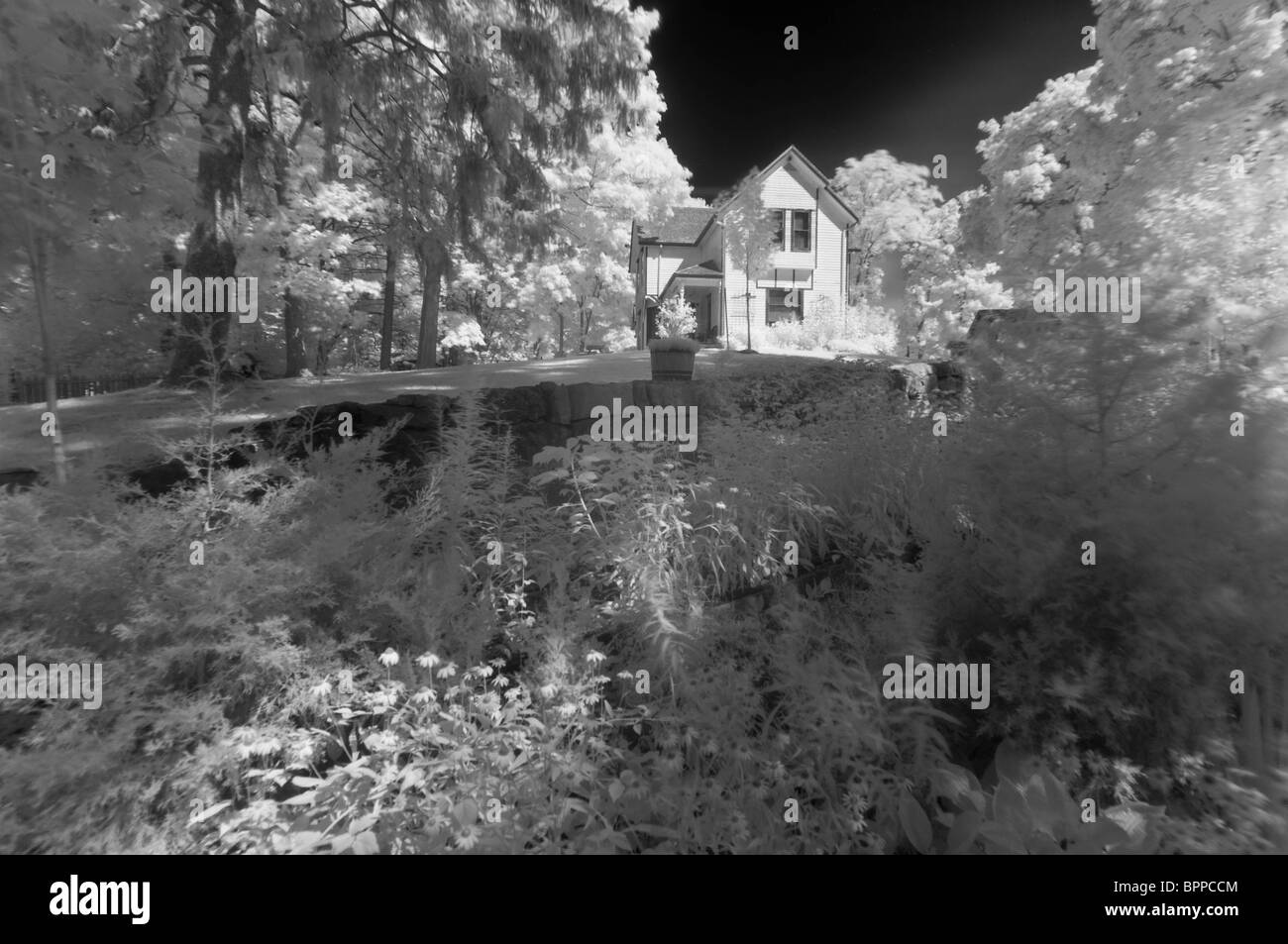 En photographiant avec lumières infrarouges ajoute un aspect 'autres' de ce monde aux scènes tous les jours. Banque D'Images