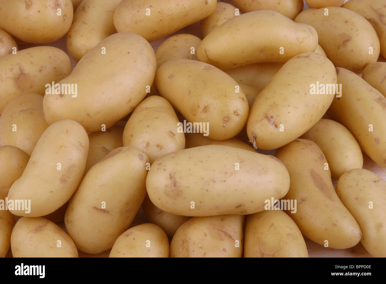 pommes de terre Banque D'Images