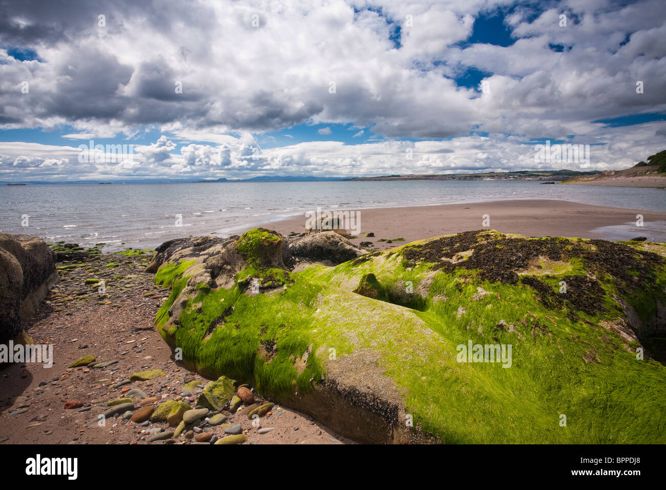 Les roches exposées, algues et mousses à marée basse sur la plage de Dysart, Fife, Scotland Banque D'Images
