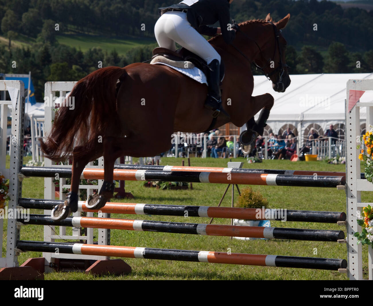 Show Jumping à Blair Castle, Scotland, Août 2010 Banque D'Images