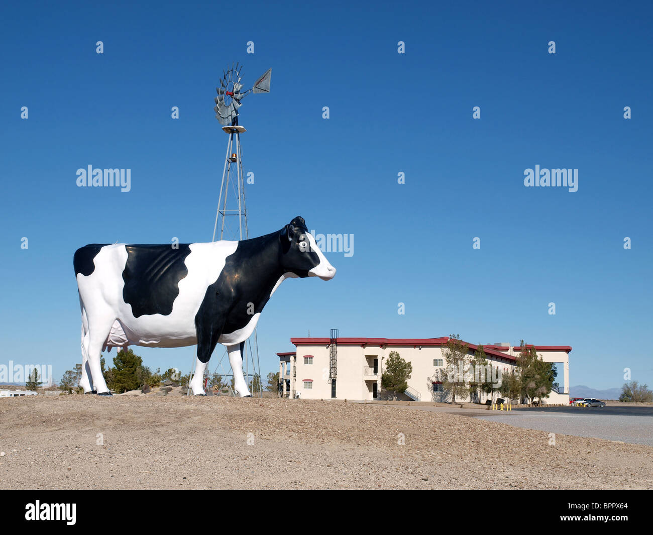 Editorial photo d'une vache géante road side statue en Amargosa Valley Nevada. Banque D'Images