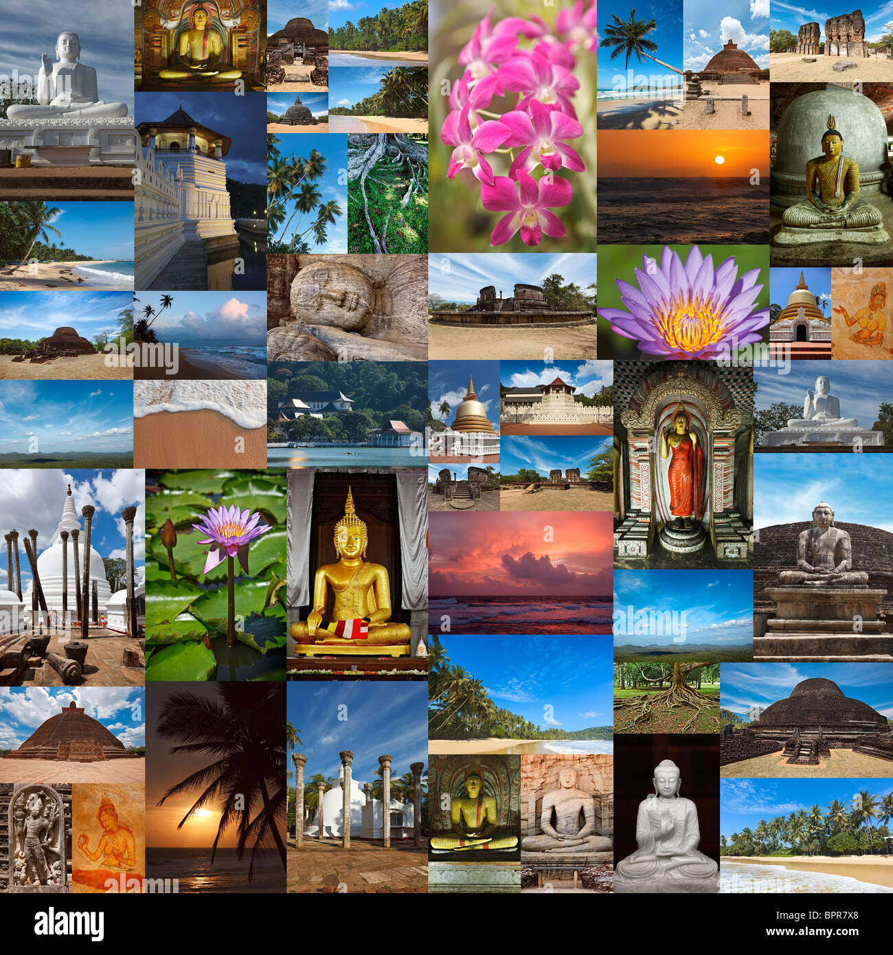 Collage d'images du Sri Lanka Banque D'Images
